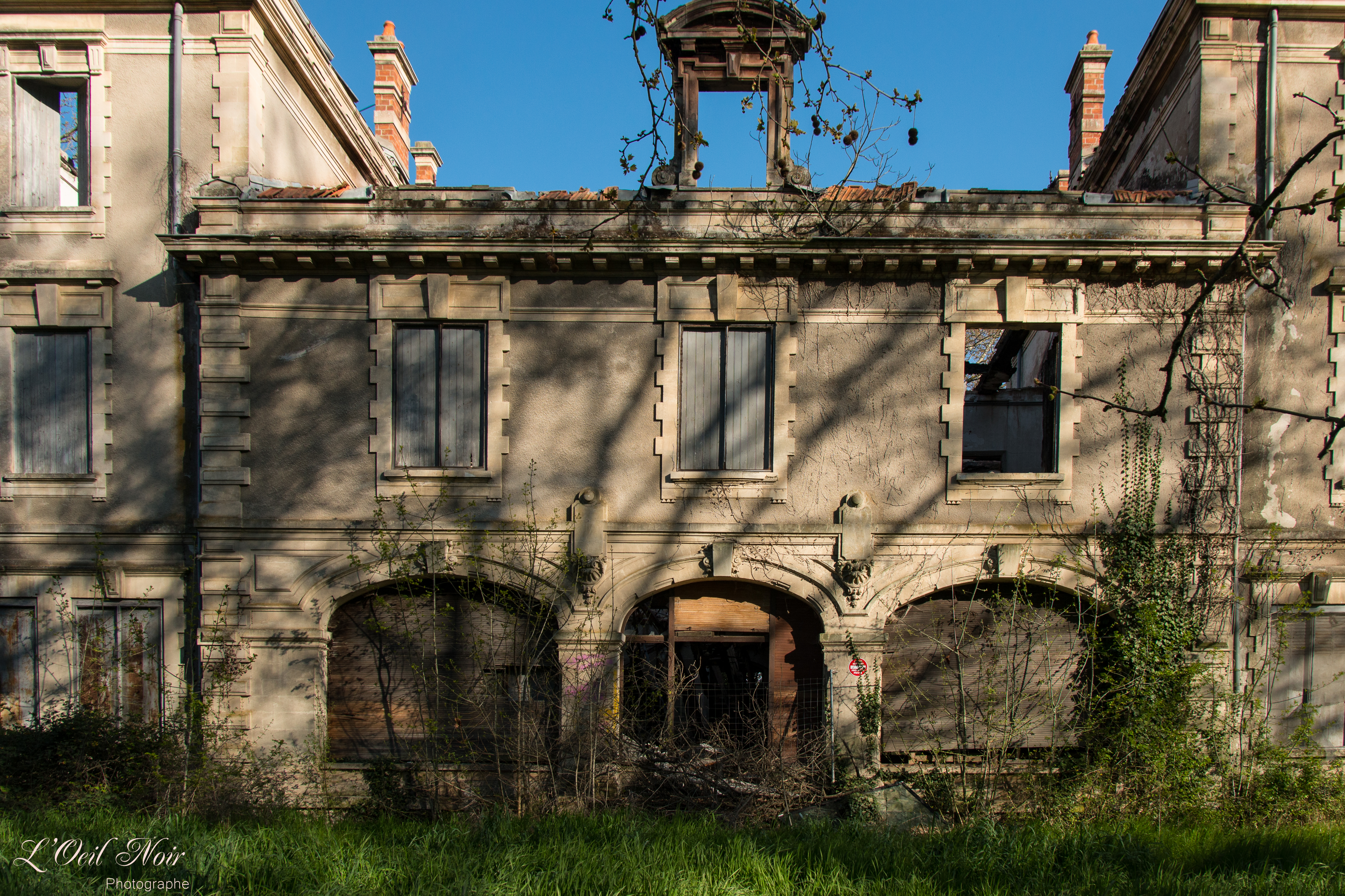 L' Oeil Noir Photographie